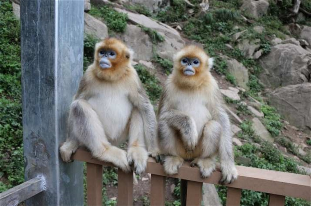 202311111699684887452989.png 42a52f221ee92cc33ff390f691d8565d.png