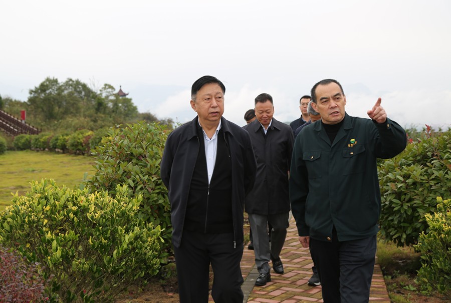 19-2021年10月，原國土資源部副部長汪民蒞臨公司調(diào)研。.jpg